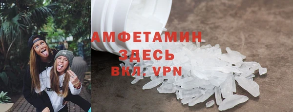 прущие грибы Приозерск