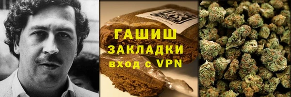 прущие грибы Приозерск