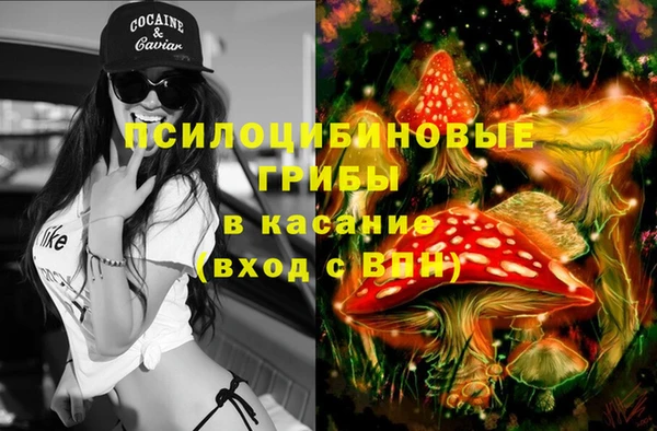 альфа пвп Пролетарск